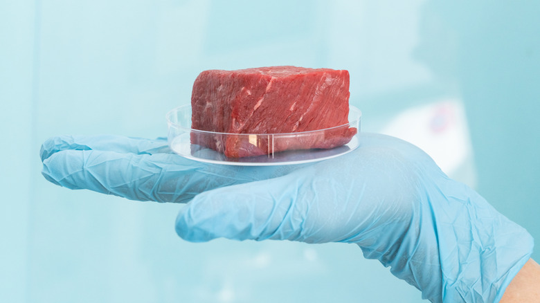 Scientist holding lab-grown steak