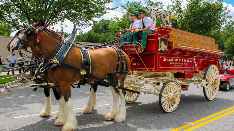 Budweiser Clydesdale beer wagon