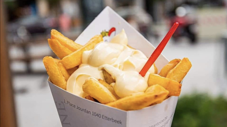Belgian french fries with mayonnaise 