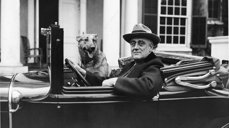 Franklin Roosevelt in car with dog