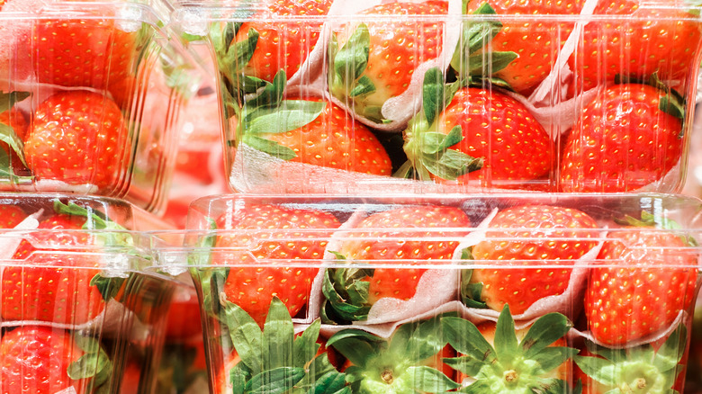 Plastic containers of fresh strawberries