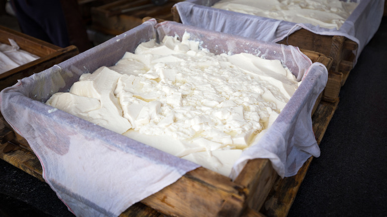 tofu making process