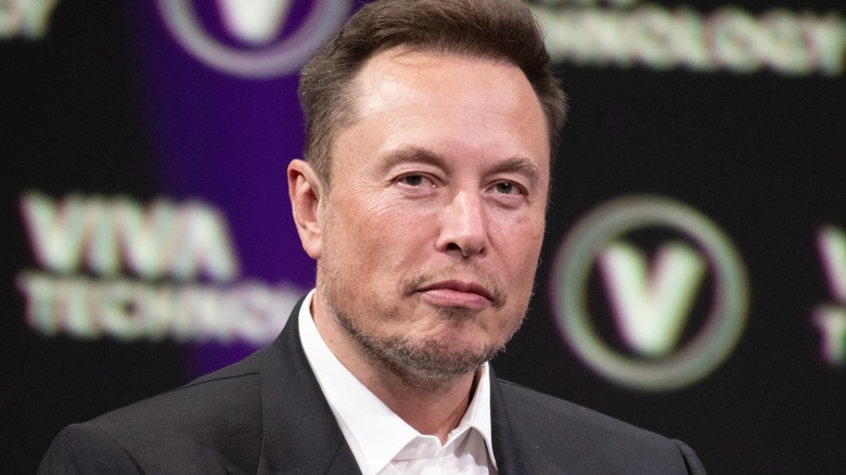 elon musk at publicity event