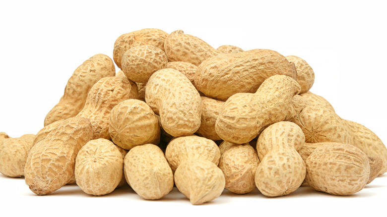 peanuts in the shell 