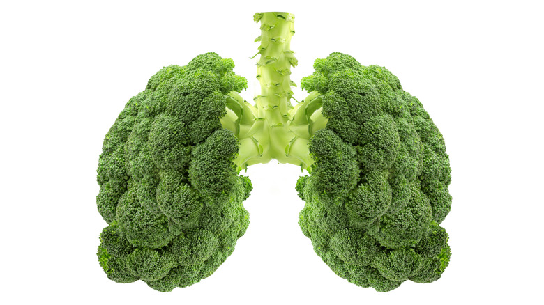 Broccoli in the shape of lungs