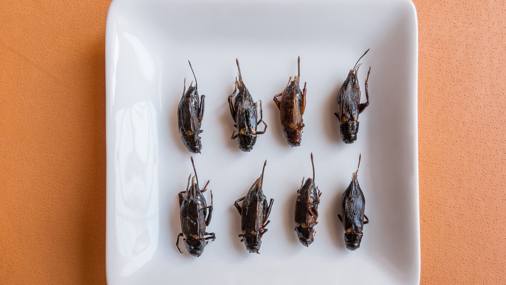 Crickets on a plate