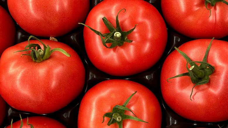 Bunches of red tomatoes