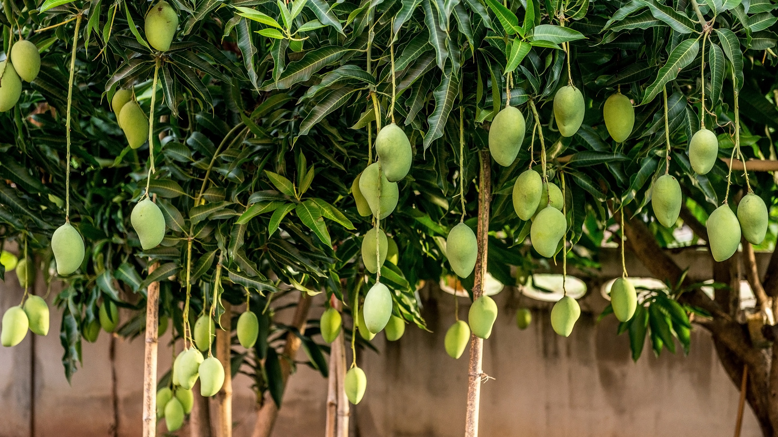 Upon realizing that Sankalp Singh Parihar was a farmer, a man offered to st...