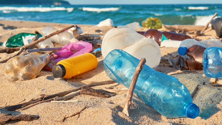 Trash on a beach