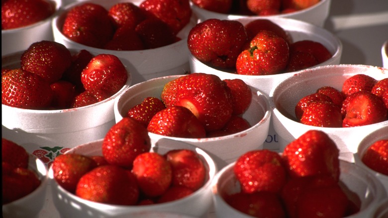 dishes of fresh strawberries