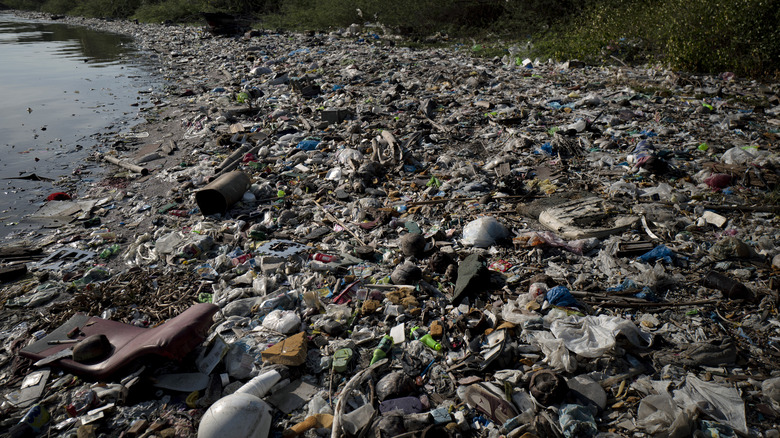 beach waste in the Philippines