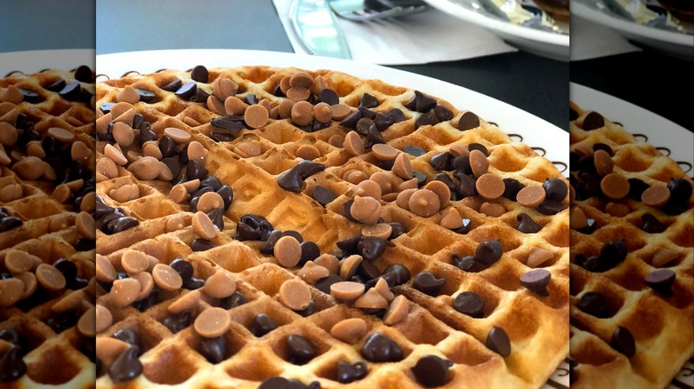 A chocolate chip and peanut butter chip topped waffle