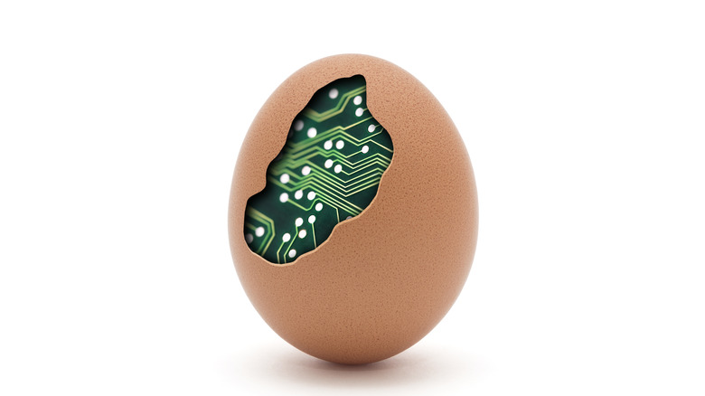 An egg with a circuit board inside