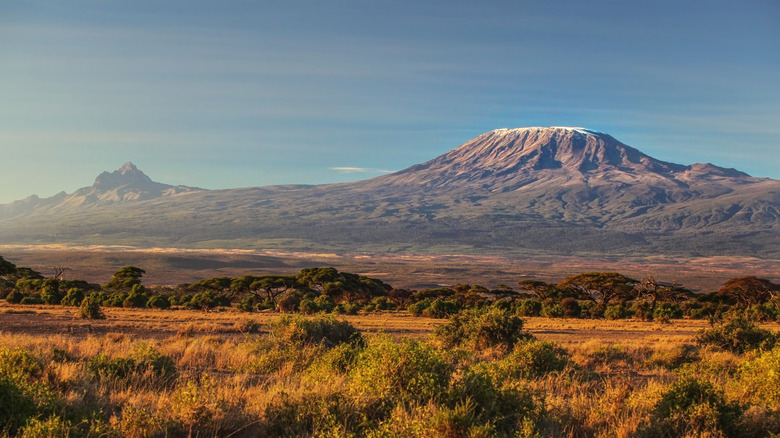 kilimanjaro mountain from a distance