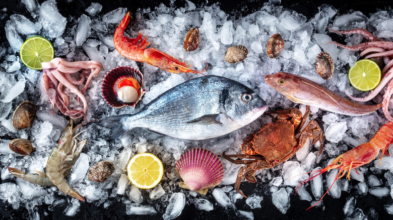 various seafood on ice