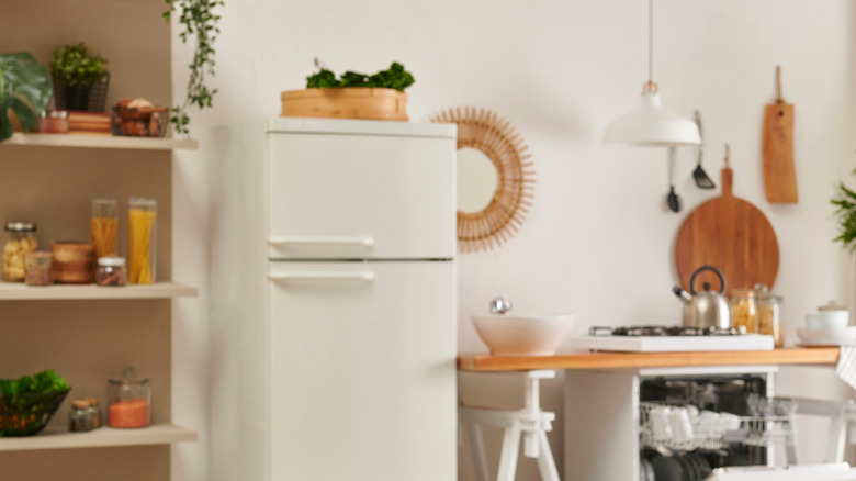 kitchen scene with box of produce on top of refrigerator