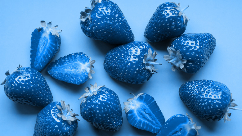 Blue strawberries on display