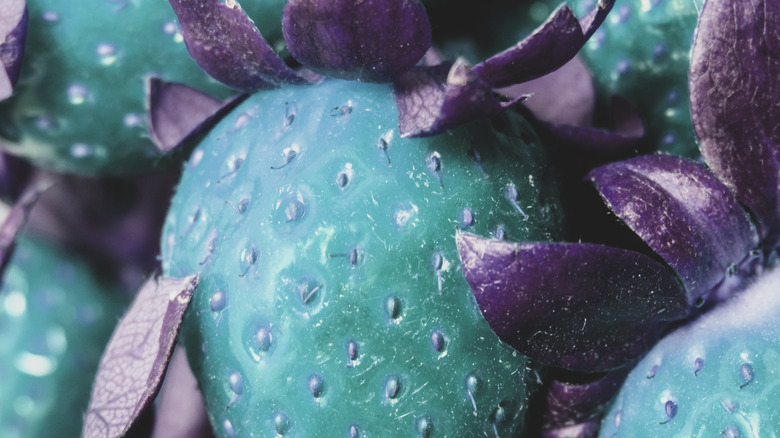 Blue strawberries lumped together