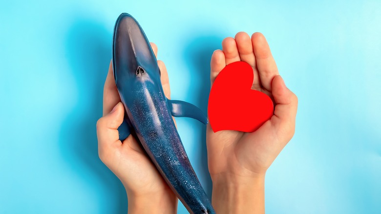 hands holding a whale and a red heart