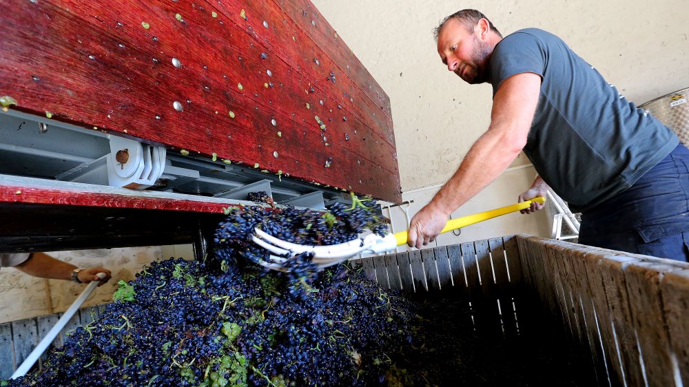 making canned wine