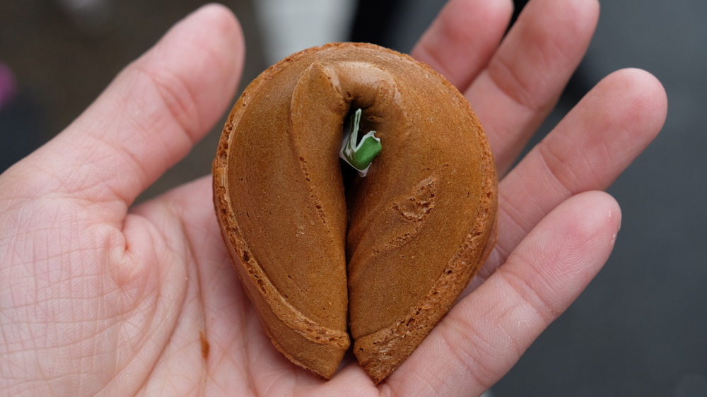 japanese fortune cookie in hand