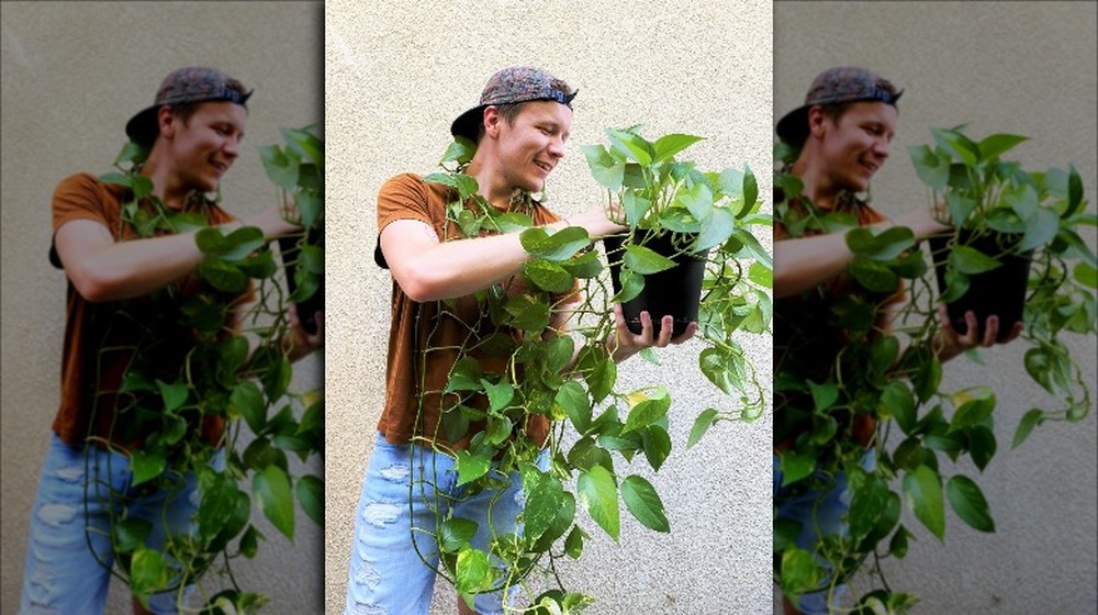 Harry Fiebelman with a plant