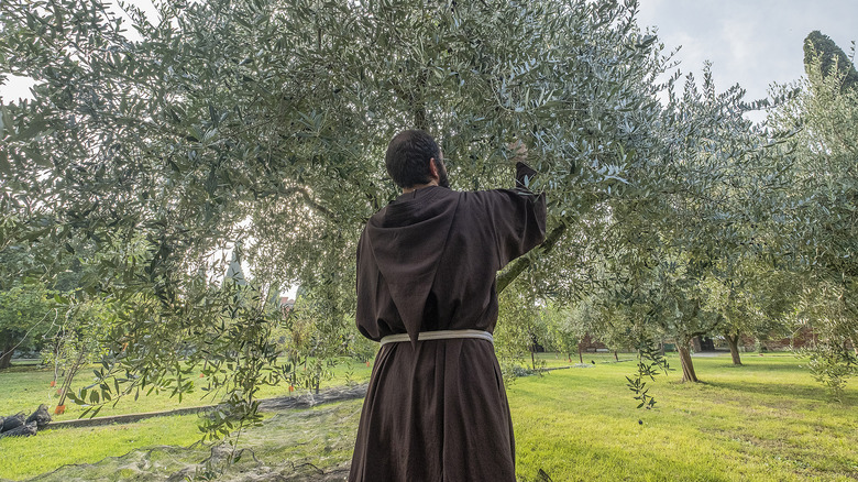 A friar wearing a brown robe