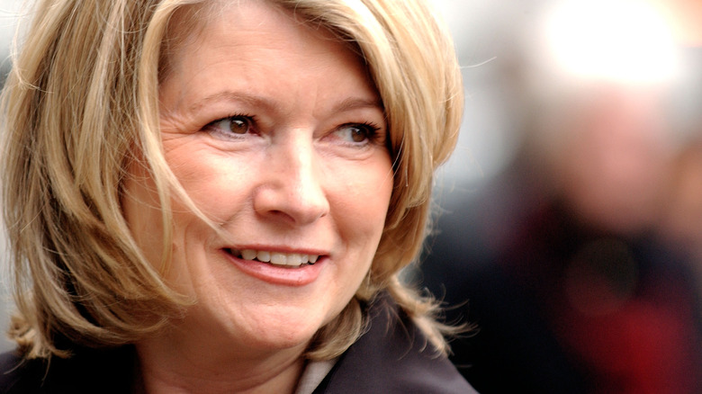 Martha Stewart in 2004