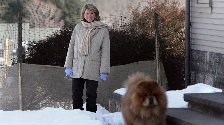 Martha Stewart at home