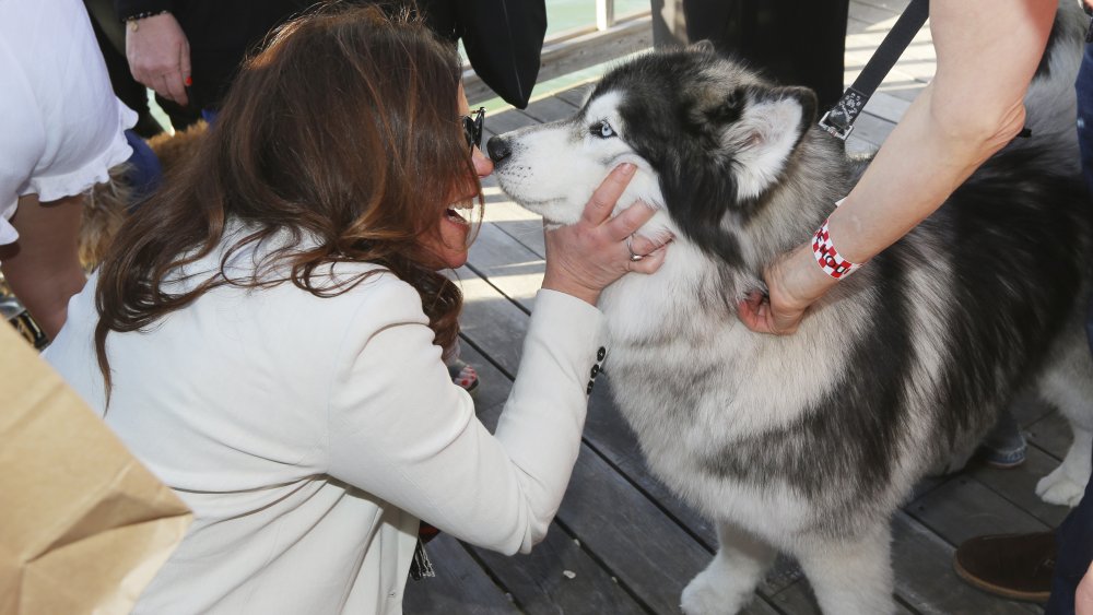 Rachael Ray with beautiful dog