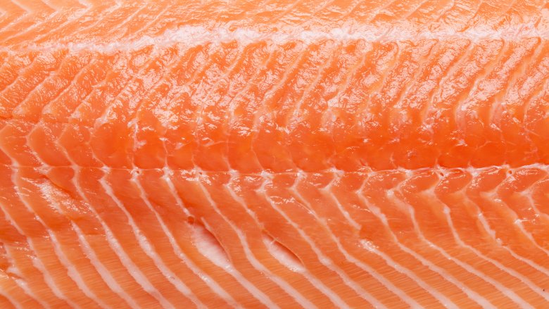 salmon close-up