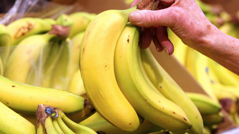 Person shopping for bananas at grocery store