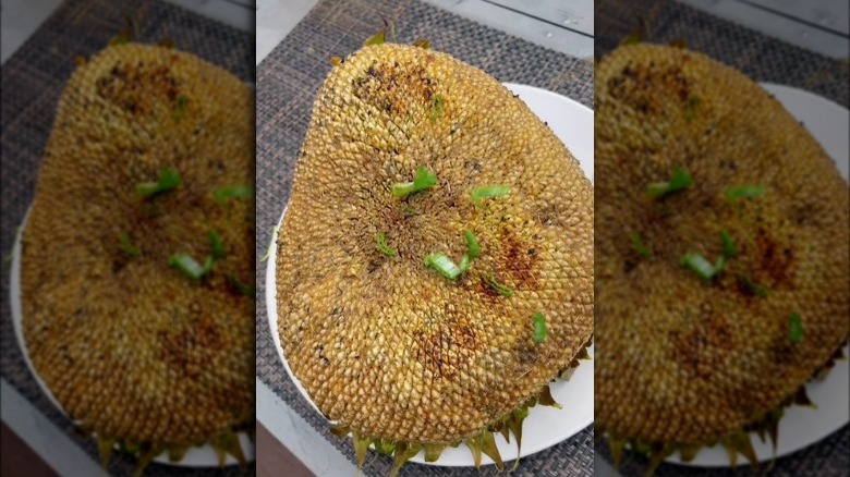 Grilled sunflower on plate