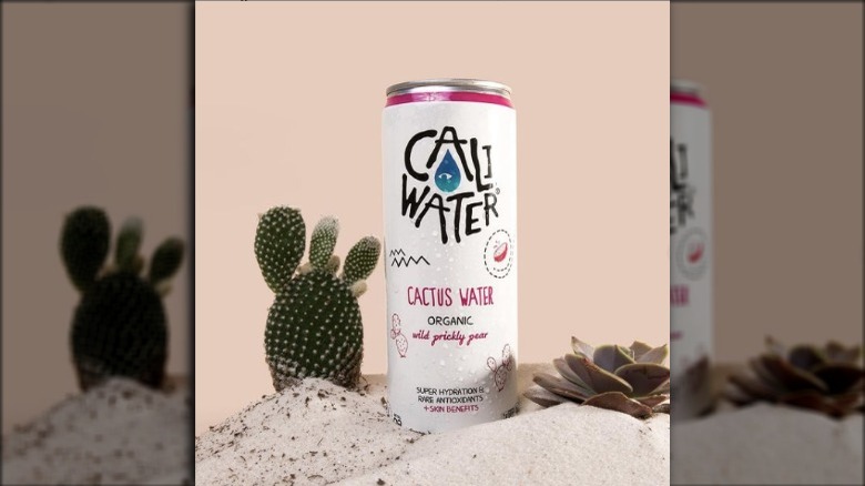 Can of Caliwater next to cactus