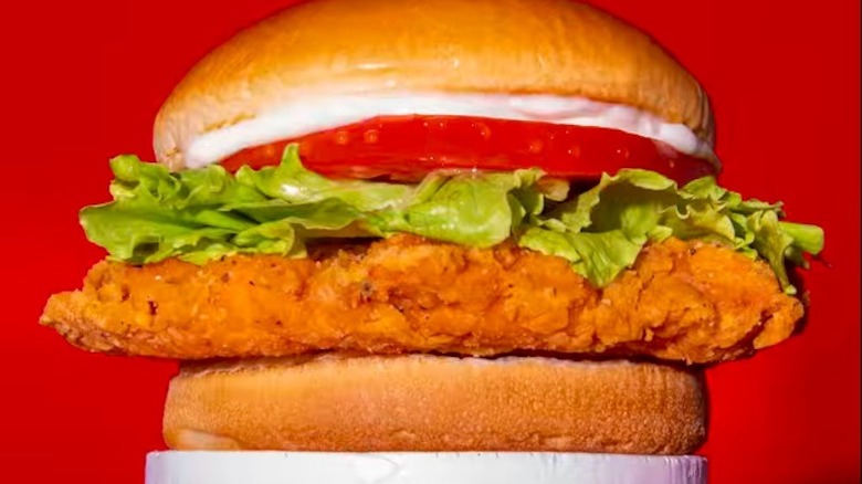 Wendy's spicy chicken sandwich with red background