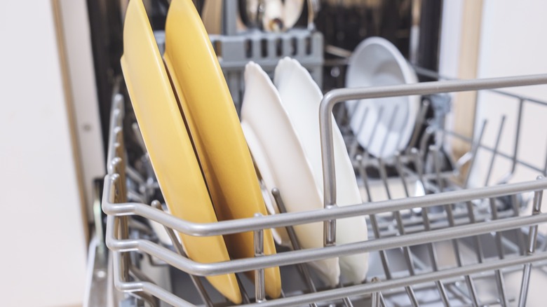 Plates in a dishwasher