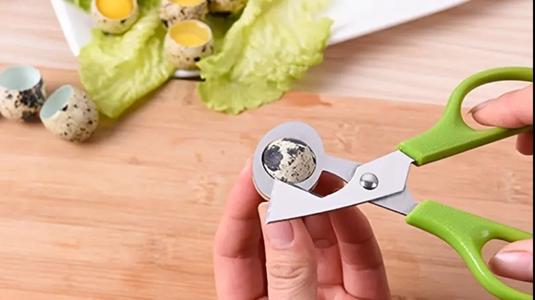 using quail egg scissors