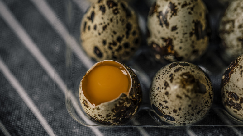 quail eggs with one open