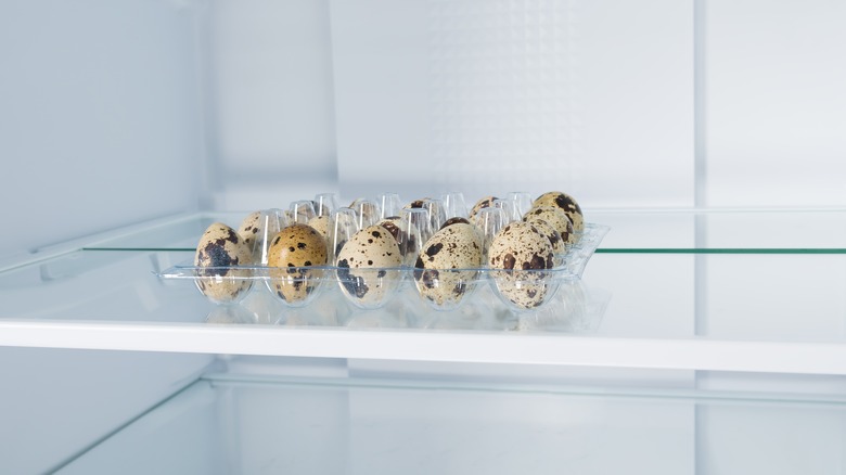 quail eggs in fridge