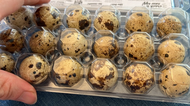 quail eggs in a carton