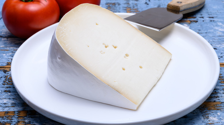 Gouda cheese with white rind