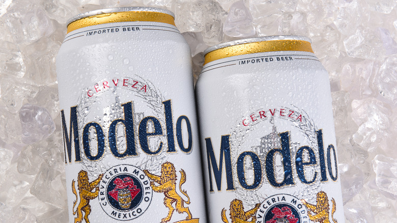 Cans of Modelo Especial