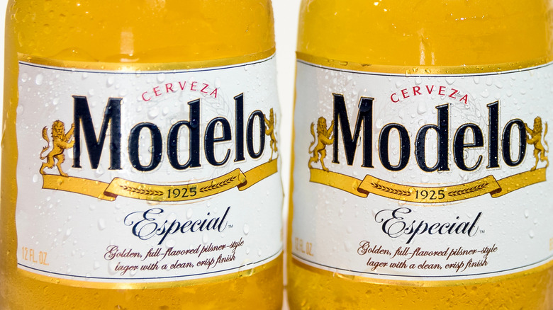 Modelo Epecial bottle labels