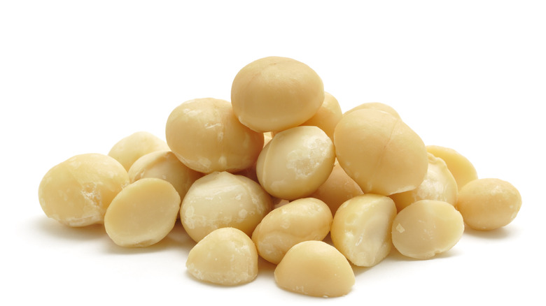 pile of macadamia nuts