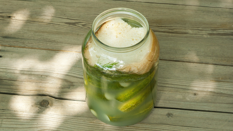 Hungarian Pickles in Jar