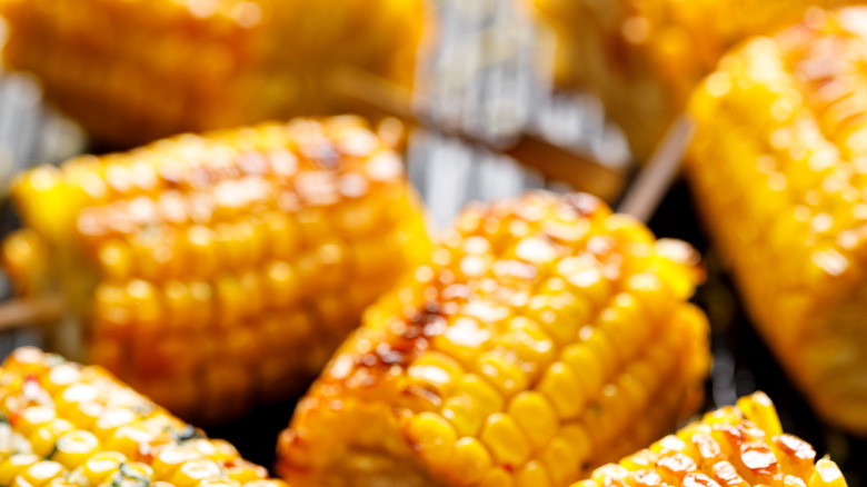 Grilled corn on the cob