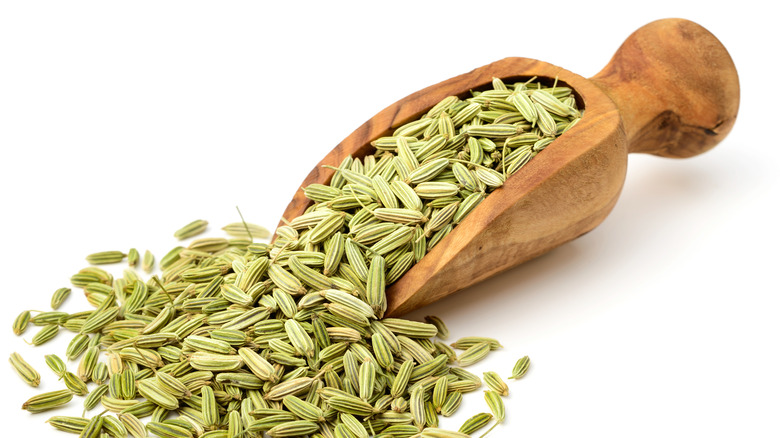 Green fennel seeds spilling from a wooden scoop