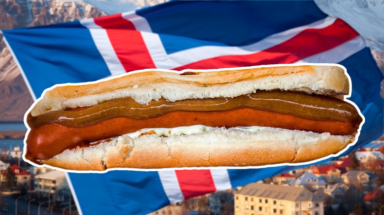 Hot dog with Icelandic flag