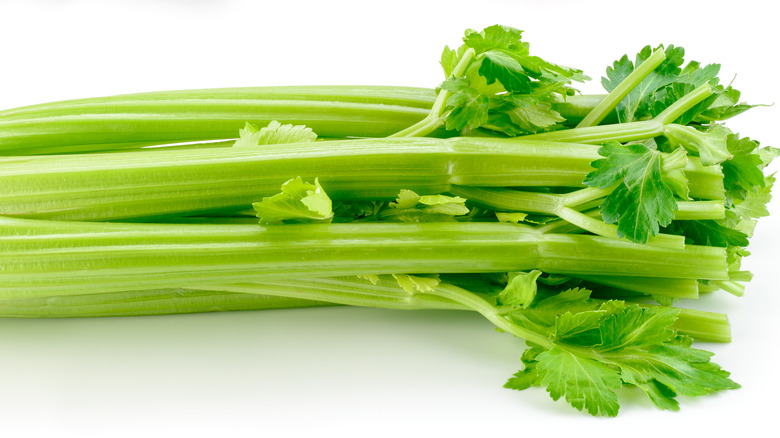 Salk of celery with leaves