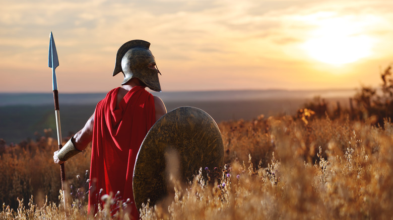 Roman soldier standing in a field